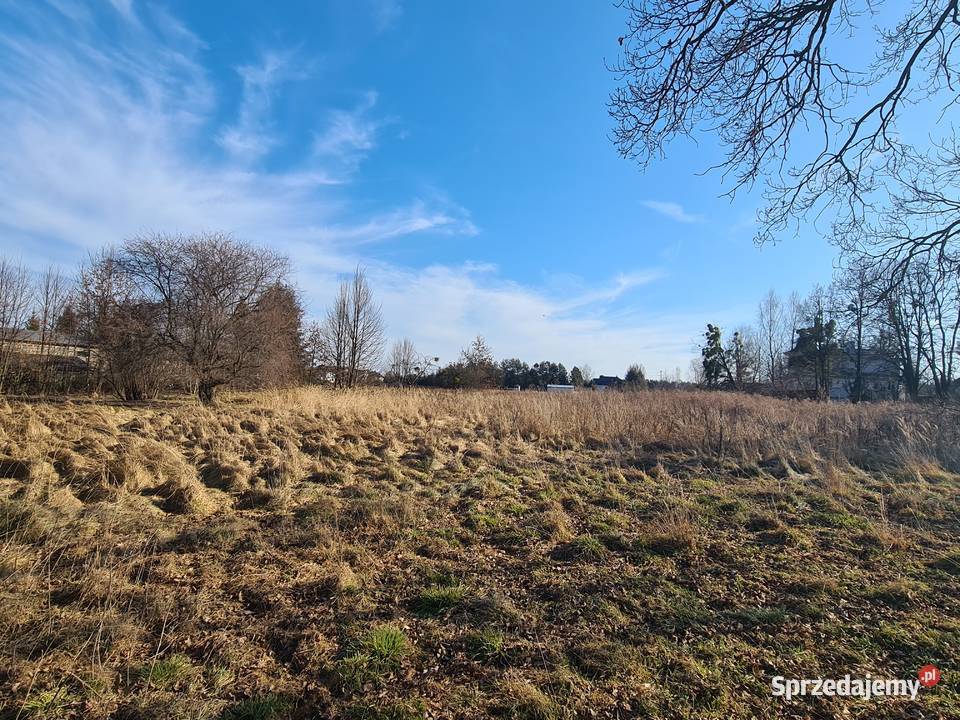 Działka budowlana 3880m2 w drugiej linii Studzienice sprzedam