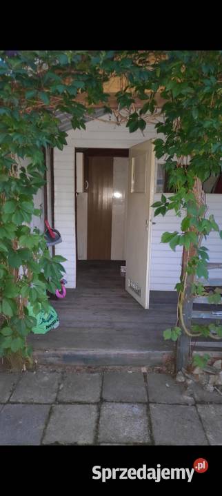 Sprzedam działkę Rod Aster Katowice