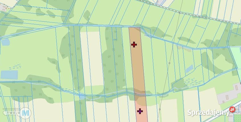 Działkę sprzedam Śladków Duży 43100m2