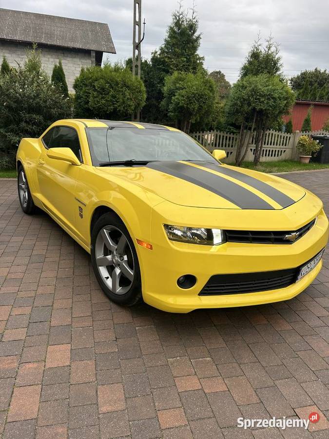 Camaro 36V Camaro małopolskie Zator