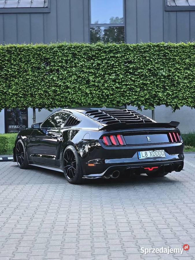 Ford Mustang VI 50 52l STROKER 560hp mazowieckie Zwoleń sprzedam