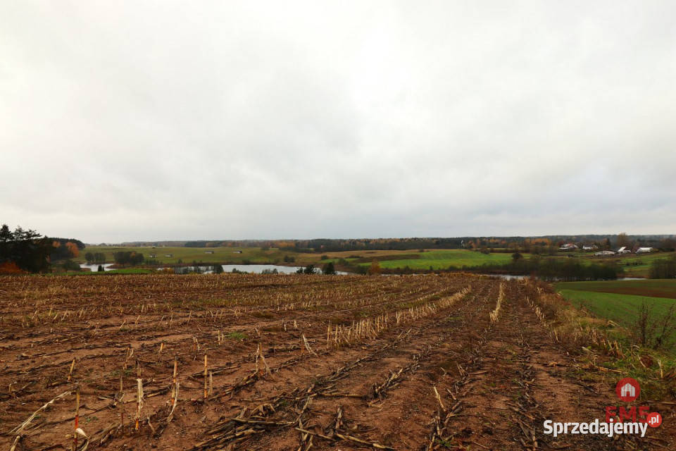 Działka 12000m2 Żegary Sprzedaż