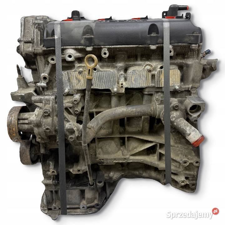 SILNIK Nissan XTrail Primera P12 20 16V 141 QR20 lubelskie Chełm