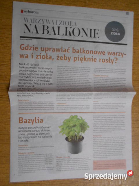 Warzywa i zioła na balkonie 2 części Gazeta Parczew