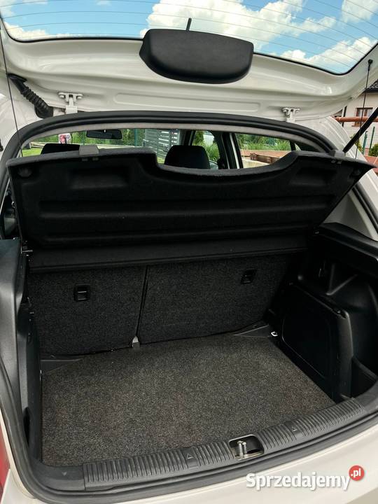 Skoda Fabia 12 12V Active 2014 Smolnica