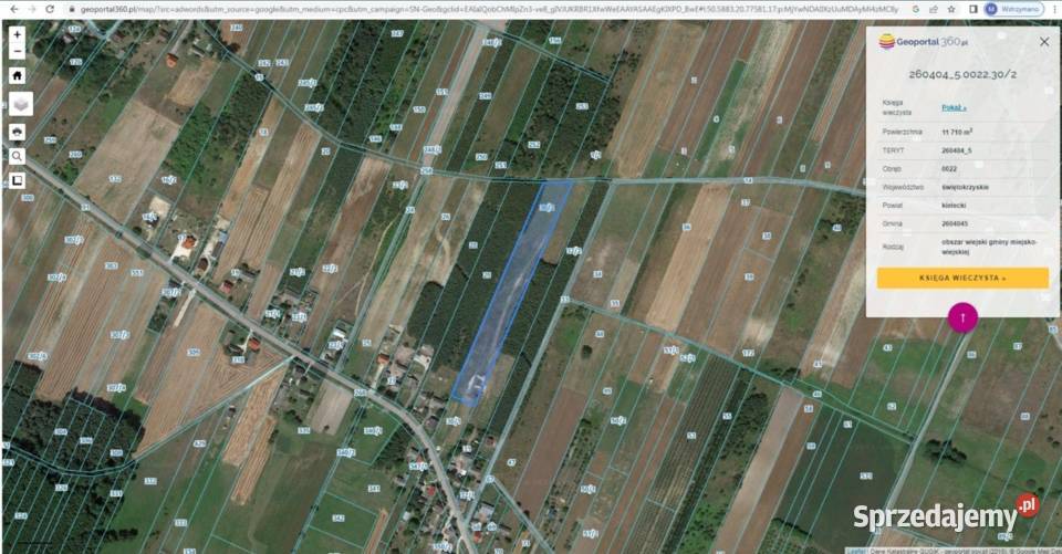 Duża działka 147 ha Szyszczyce gmina Chmielnik świętokrzyskie sprzedam