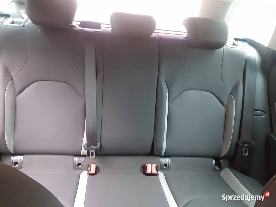 Seat Leon 16 Tdi Grudziądz