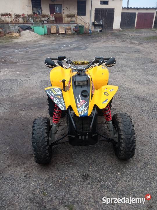 Polaris Trailblazer 400 400cm3 Polaris Czernina Dolna