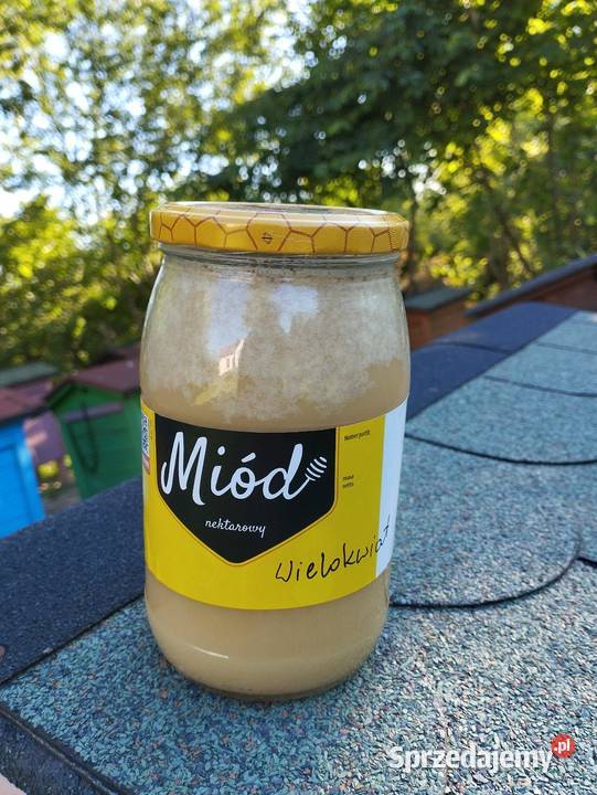 Miod wielokwiatowy i spadziowy Krzywe