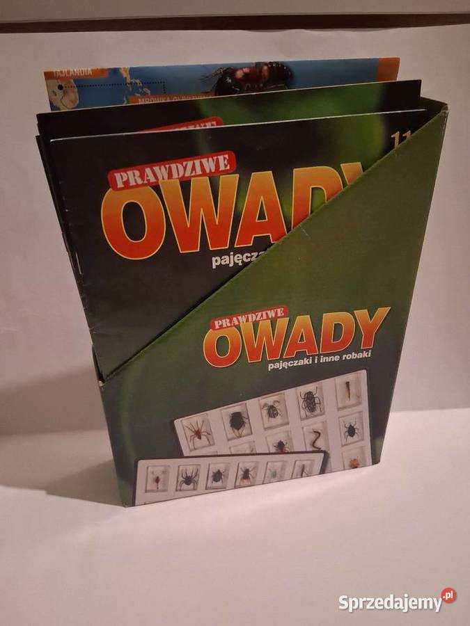 Prawdziwe Owady pajęczaki I inne robaki Cieszyn