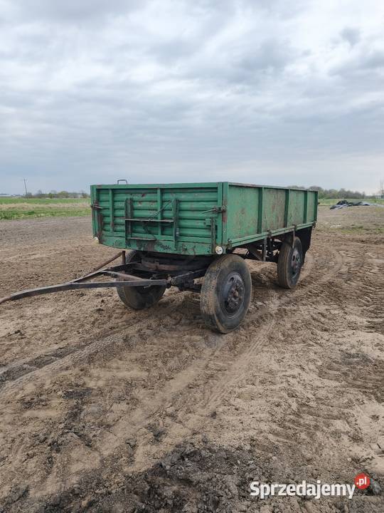 Przyczepa Sanok d44 nieuszkodzony Przyczepy rolnicze Bieżuń