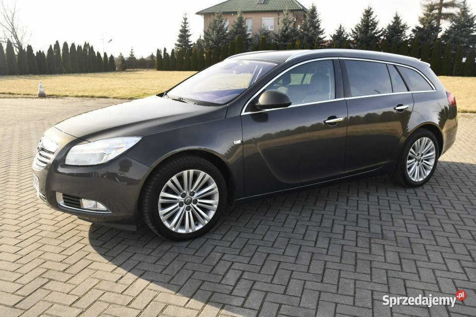 Opel Insignia 20D DUDKI11 Insignia Kutno