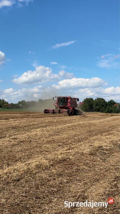 Case 2366 axial flow Czujniki awaryjności Opatów