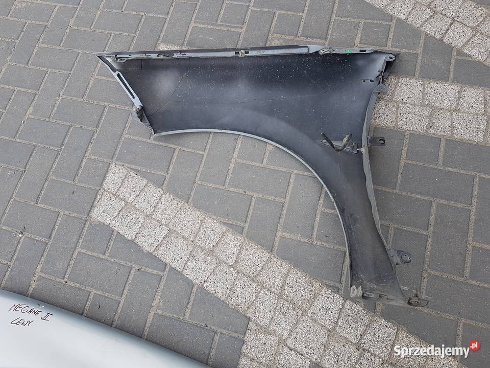 RENAULT MEGANE II BLOTNIK PRZOD LEWY PRAWY NV632 wielkopolskie