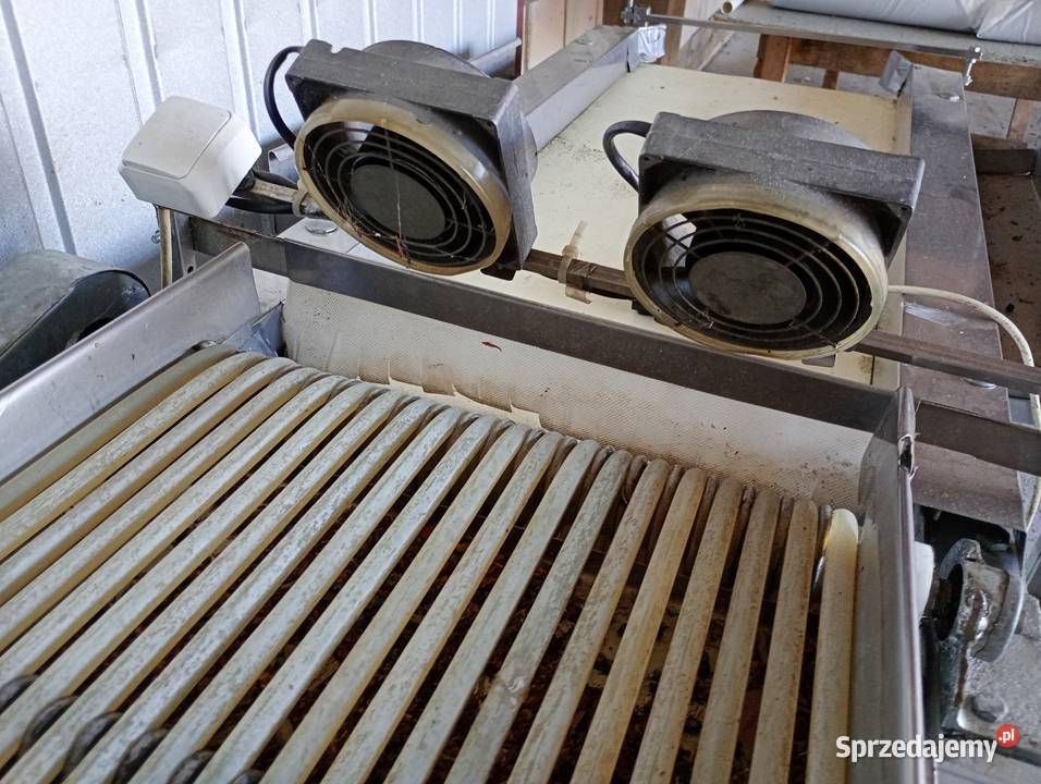 Sortownik do borówki