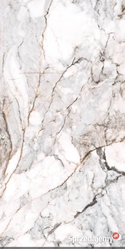 Płytka Płytka Piraues Gold Mat 60x120 GAT I łódzkie Opoczno