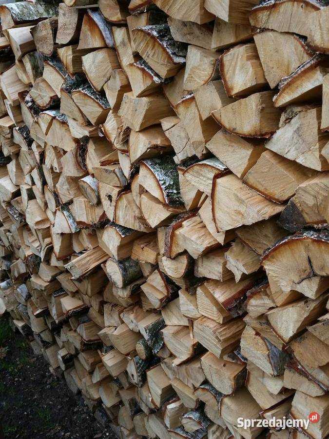 Drewno kominkowe brzoza wielkopolskie sprzedam