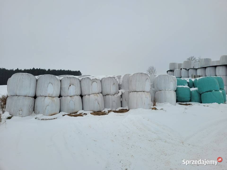 Bele sianokiszonki sianokiszonka Sokoły sprzedam
