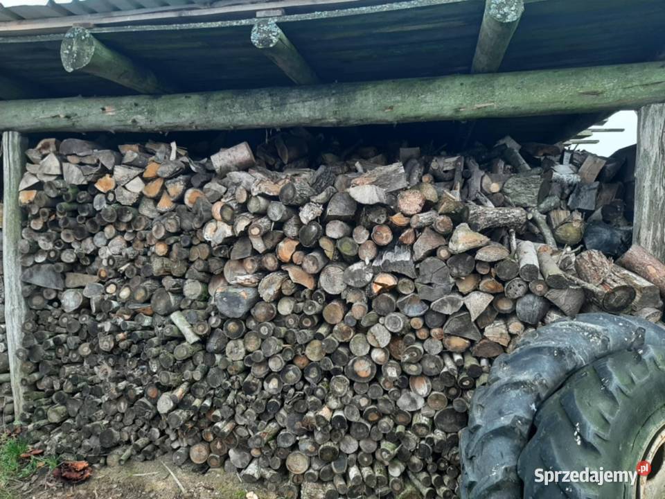 Drewno gałęziówka buk sosna brzoza pomorskie Bytów