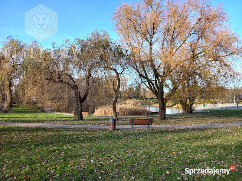 Mieszkanie Warszawa Jana Kazimierza 4853m2 2 blok Sprzedaż