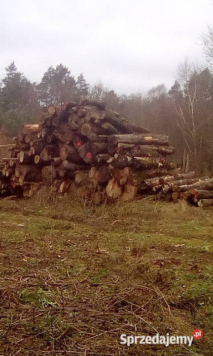 TANIE DREWNO KOMINKOWE I OPAŁOWE TRANSPORT Ogrzewanie Białogard