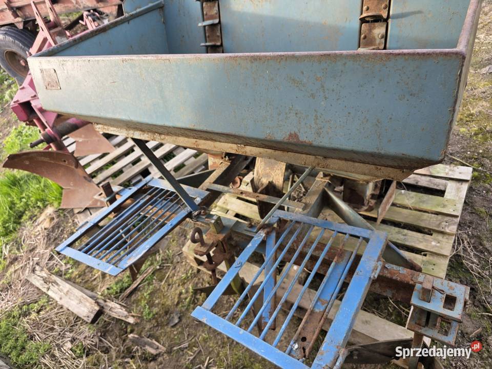 Sadzarka dwurzedowa polska do ziemniaków Samborzec