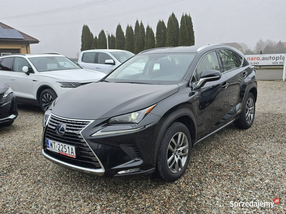 Lexus NX 300h HYBRID AWD 4x4 Elegance Salon NX Włocławek