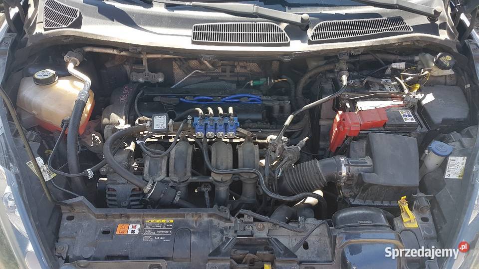 Ford Fiesta MK7 LPG Zarejestrowany w Polsce Żarów