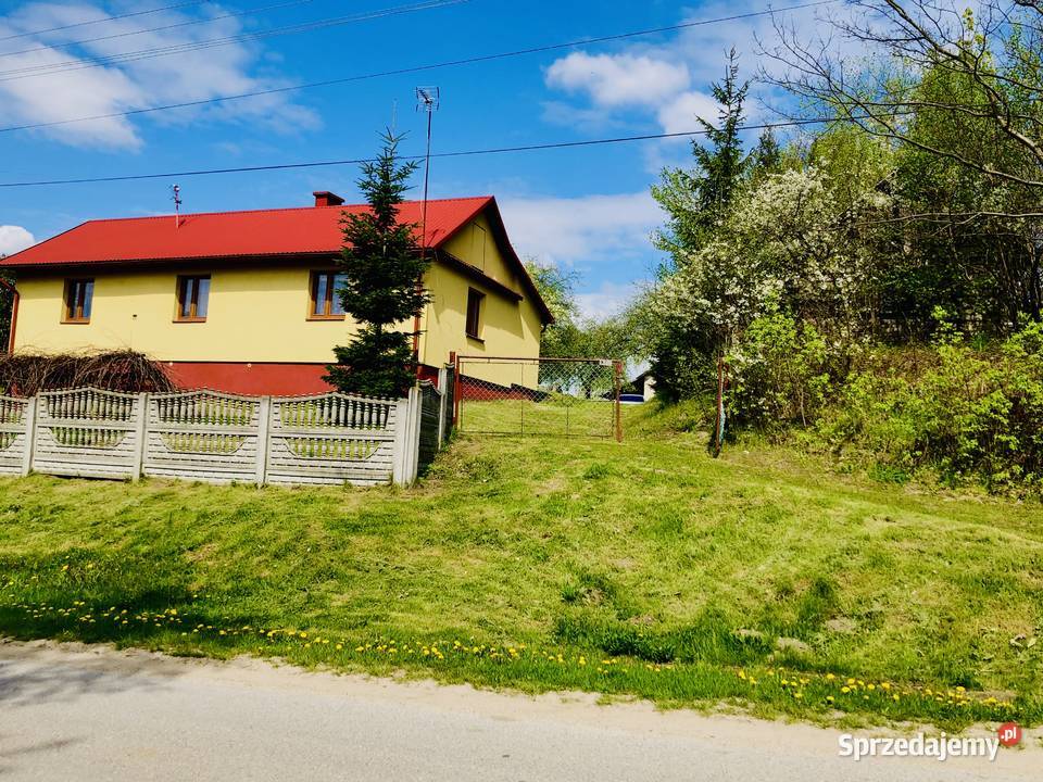 Agroturystykastadnina koni 561 ha z lasem podkarpackie Łówcza sprzedam