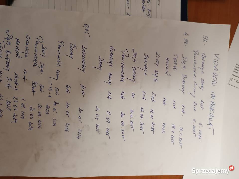 Vidaron impregnat ochronno dekoracyjny ogrodowy Impregnaty Wieliczka sprzedam