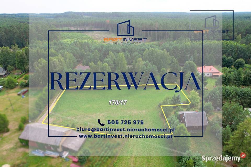 Twoje miejsce natury działka 3466 m2 Dobry Las