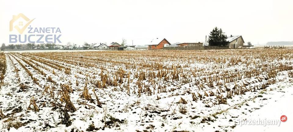 Sprzedam działkę o pow 4606 m2 w Leonowie w woda