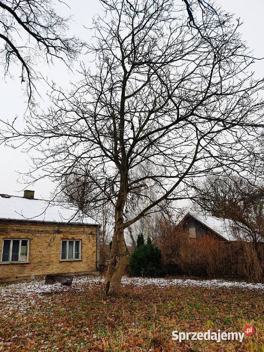 Sprzedam dom jednorodzinny z działką siedliskową gospodarstwo Rębowo