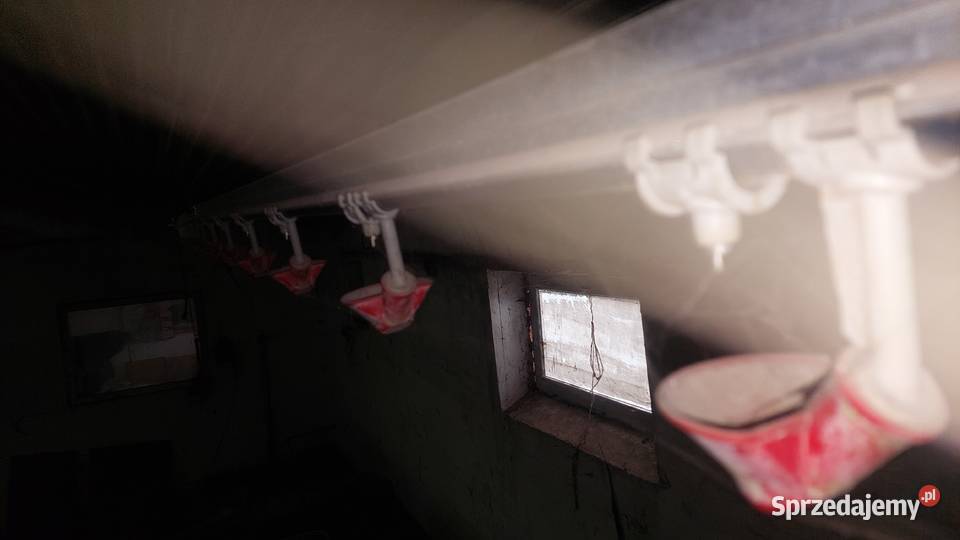 Paszociagi Jędrzejów