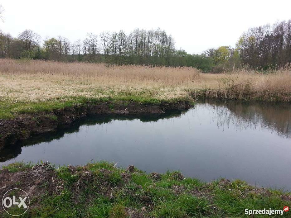 Ziemia ogrodowa czarnoziem torf Architektura ogrodowa Międzyrzecz sprzedam