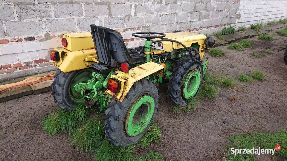 Bjelovar tv521 ciągnik sadowniczy Kobyłka