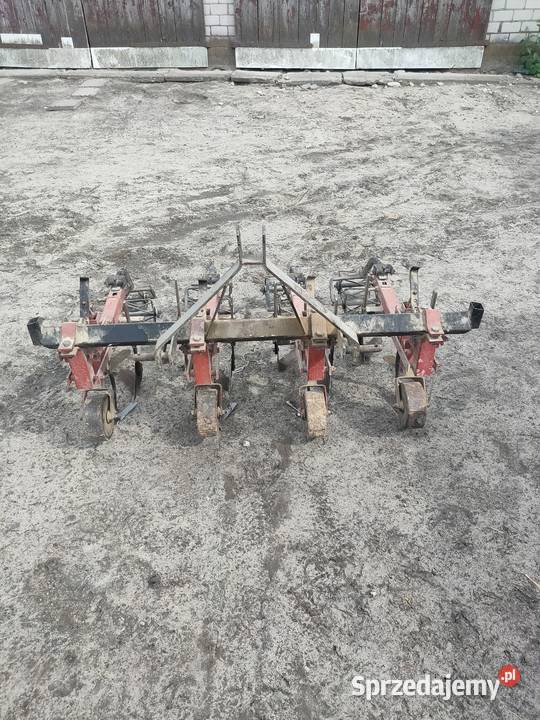 Pielnik do ziół truskawek dyń lubelskie Trawniki