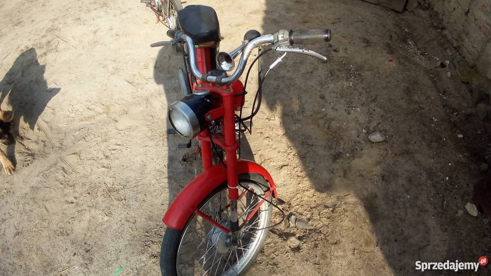 SPRZEDAM KOMARKI Komar Boże