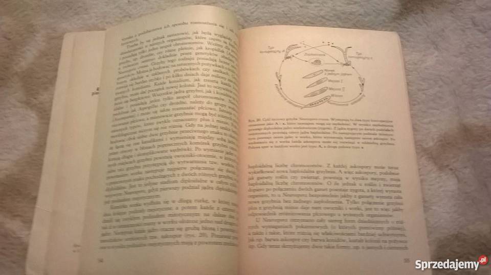 POZNAWANO ZJAWISKO DZIEDZICZNOŚCI GAJEWSKIfa medycyna, nauki medyczne Goleniów