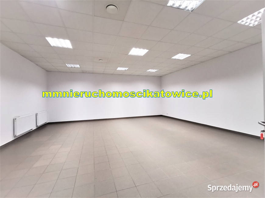 Magazyny do wynajęcia śląskie Katowice A4 0 Wynajem śląskie