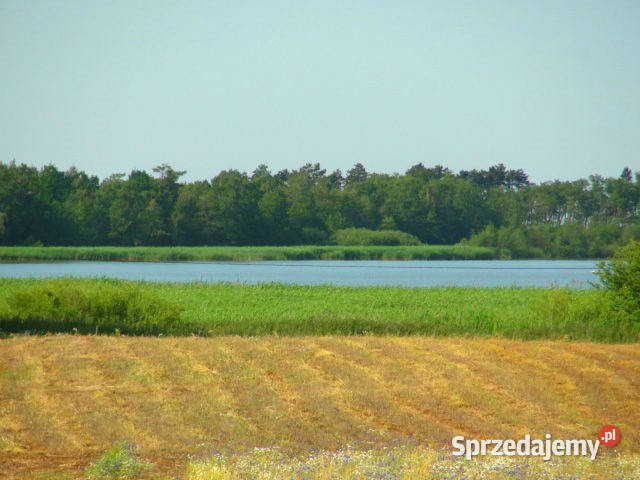 Grunt do sprzedania 500m2 Karwia 500m2