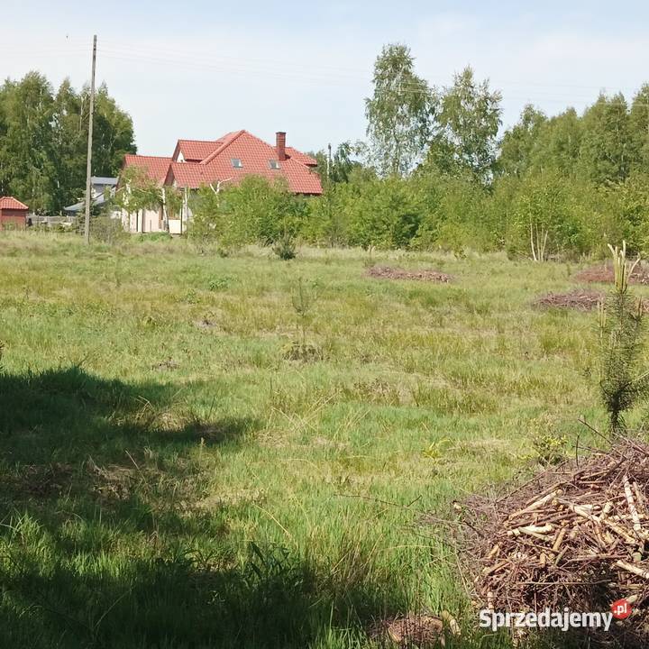 sprzedam działkę budowlaną w Międzyborowie 30m Międzyborów