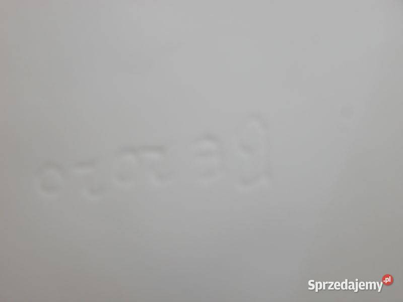 porcelanowy obraz Dekoracje i ozdoby sprzedam