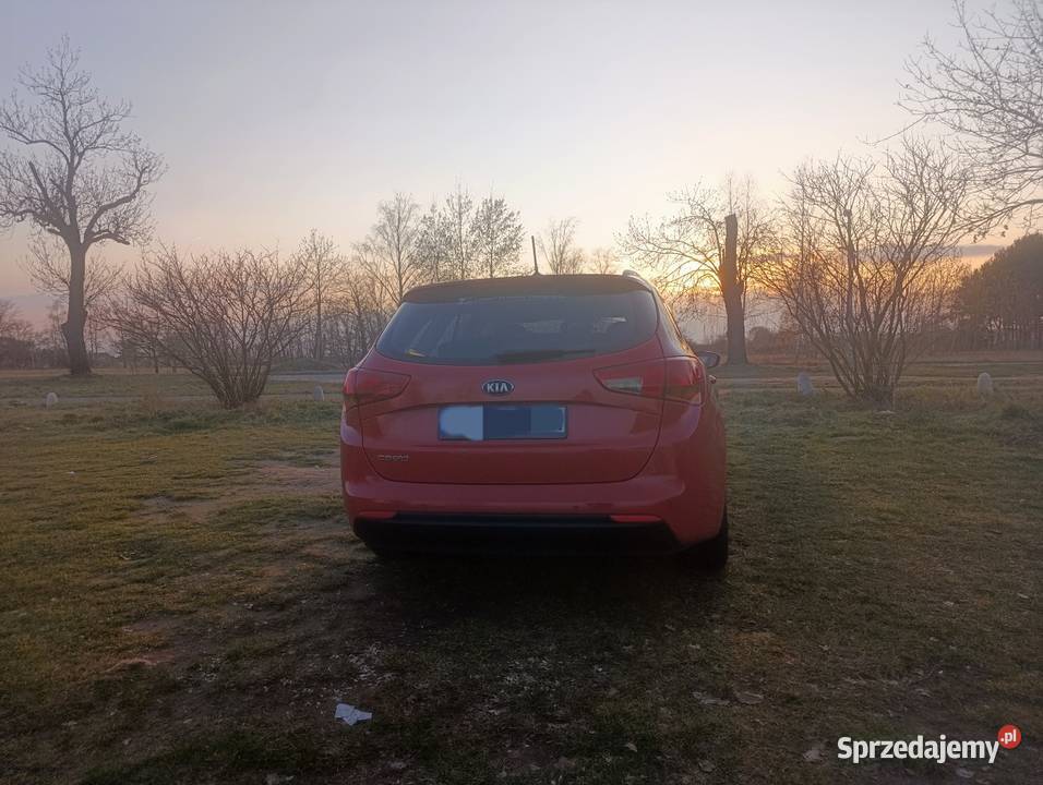 Kia ceed SW 1 4 MPi Navi klimakamera Legnica