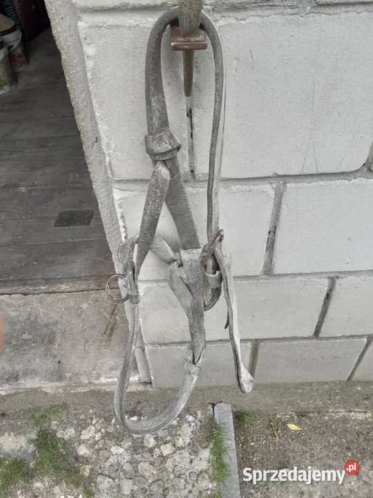 Uprzaz konia Stary Gózd sprzedam