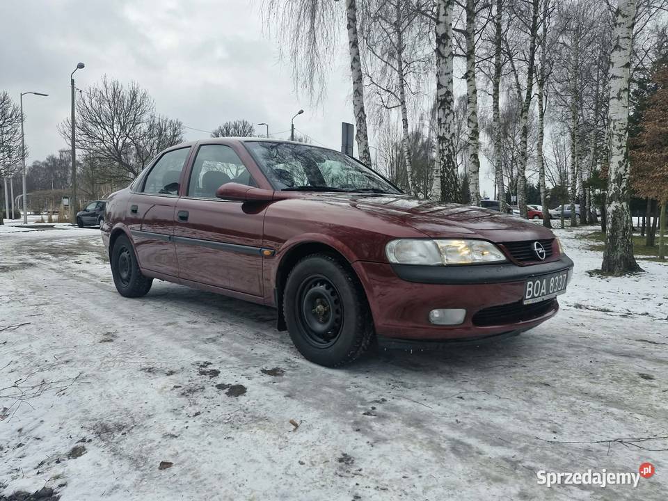 Zadbany opelek Oświęcim