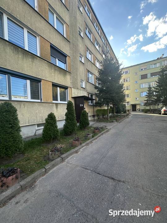 Mieszkanie 61 m Gniezno 3 pokoje os Piastowskie Rok budowy 1970 sprzedam