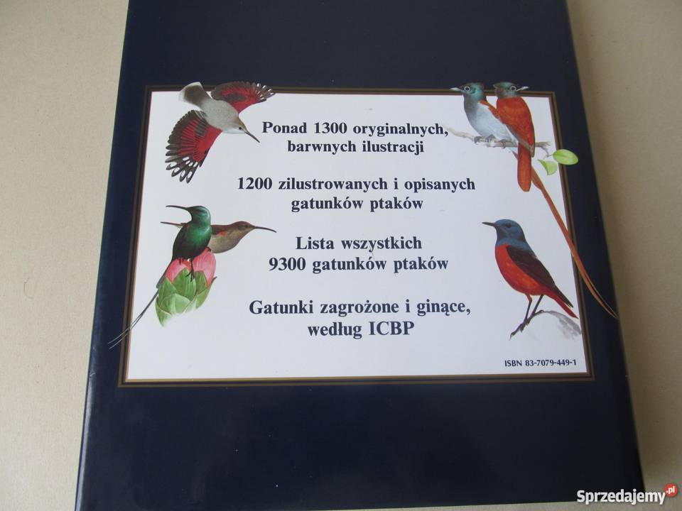 WIELKA ENCYKLOPEDIA PTAKÓW Perrins ChM lubuskie Zielona Góra