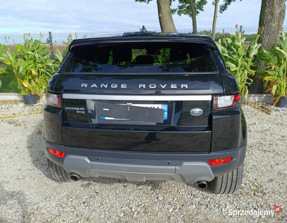 Land Rover Range Rover Evoque Evoque I 20112018 wielkopolskie Pleszew