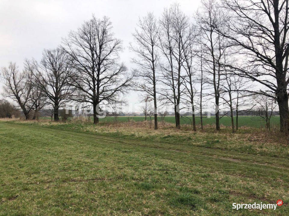 Na sprzedaż piękna działka rolna w polna dolnośląskie Świdnica